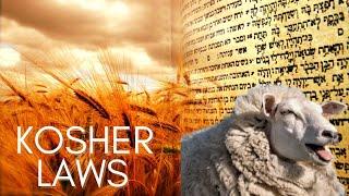 Leviticus 11 | Part 2 | Kosher LAWS - Continuation