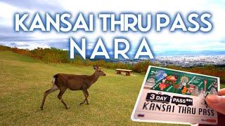 Using Kansai Thru Pass | 奈良市 Nara Day Trip - Adventure Day 1