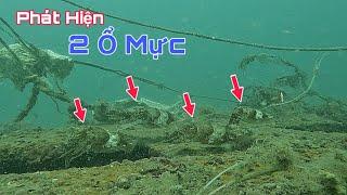 Lặn Biển May Mắn Gặp Ổ Mực Khủng Cuối Năm