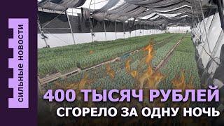 Богатый или верный? Кого выберут белоруски / Осиповичи без воды / Проглотил магнит и чуть не умер