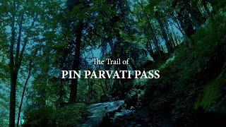 The Trail Of PIN PARVATI pass trek