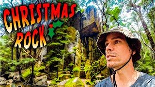 Remote Expedition in Tasmania Leads to a Huge Discovery!!