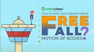 Sign Convention in free fall motion of bodies | Extraclass.com #gravity  #physics