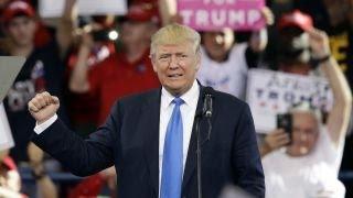 KT McFarland: Trump slayed all the dragons