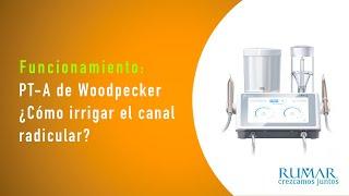 ¿Cómo irrigar el canal radicular con la unidad de profilaxis PT-A de Woodpecker? | Funcionamiento