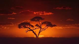 Sunrise in the African Savanna