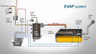 Vented Evaporative Systems