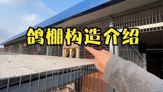 详细介绍一下我的鸽棚构造，我这鸽子住这样的棚那都跟住别墅一样