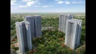 Paras Dews Sector 106- Gurgaon