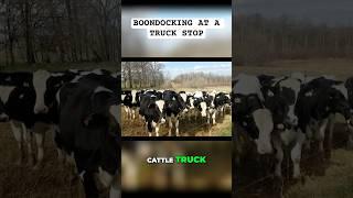 Unexpected RV Adventures  | Boondocking in Style Off-Grid #RVLife #Boondocking #RVCamping