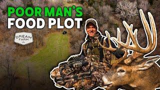 Budget Food Plots for Everyone, Poor Man's Plots | Dream Farm w/ Bill Winke