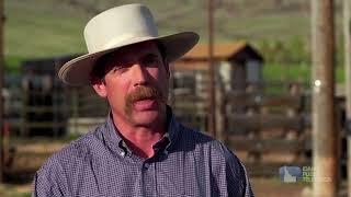 Mule Deer Foundation "A Silent Restoration"