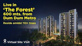 Virtual Site Visit- The Forest