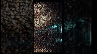 status video 4k | up wala thumka lagao gana