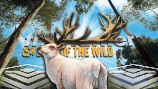 MAX WEIGHT ALBINO DIAMOND RED DEER! My New Favorite Super Rare??? Call of the wild