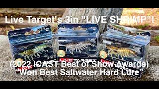 Live Target's "LIVE SHRIMP"! Won Best of Category iCAST 2022!