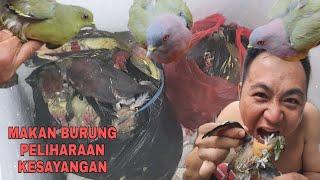 MAKAN BURUNG TUMIS KECAP ! SUMPAH ENAK BANGET !!  EXTREMEFOOD / Eating Birds Is Really Good !!