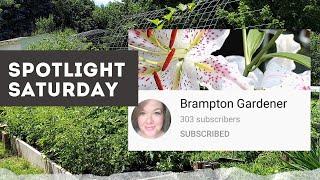 SPOTLIGHT SATURDAY #2 - Brampton Gardener