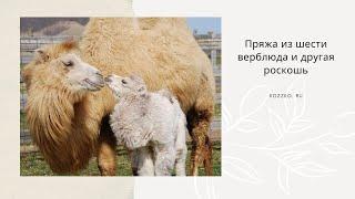 Пряжа из шерсти верблюда и другая роскошь