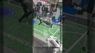 The robots from the Spring Festival Gala came to perform #Germany #Robot #Exhibitionsite