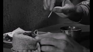 Birdman of Alcatraz  1962  Burt Lancaster  Robert Stroud  baby sparrow in the yard  hungry