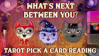 What's Next Between You and Them? Tarot Pick a Card Reading