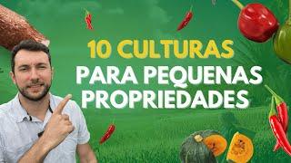 10 culturas ideais para pequenas propriedades @AGRO.Rafaelmartins