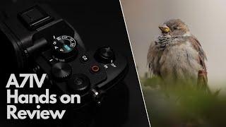 Sony A7 IV - HANDS ON REVIEW - Nature // Bird Eye-AF