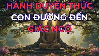 thập nhị nhân duyên hành duyên thức con đường đến giác ngộ
