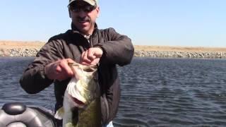 Fishermans Warehouse Yozuri PowerPro Seaguar Promo November