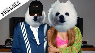 SHAKIRA || BZRP Music Sessions #53 (Versión Perro)