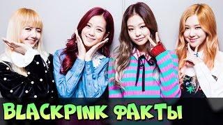 BLACKPINK ИНТЕРЕСНЫЕ ФАКТЫ, БИОГРАФИЯ  K-POP ГРУППА BLACK PINK