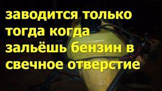 бензокоса не заводится