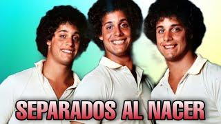 La INCREÍBLE historia de los TRILLIZOS separados al nacer (TRES IDÉNTICOS DESCONOCIDOS) #triada