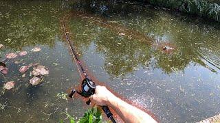 Lure Fishing for Pike  Catching on the Canal