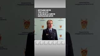 Жительнице Мостов грозит до 25 лет за покушение на убийство новорожденной дочери