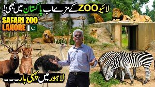 Live Safari Zoo In Lahore | Zoo Like Europe | Amazing Place For Picnic | Discover Pakistan