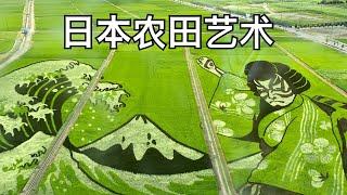 日本农田艺术 葛飾北斎の浮世画，神奈川的冲浪