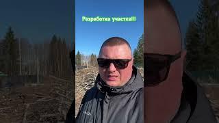 13 апреля 2025 г.