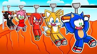 Sonic Goes Down The DEADLIEST Zipline In Roblox With His FRIENDS...