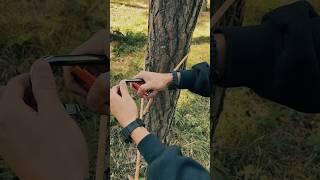 Survival Hack - Tensioning The Rope with a Carabiner #survivalskills #camping #nature #diy