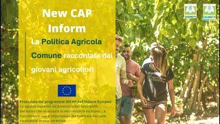 Giovani imprenditori:la generazione sostenibile