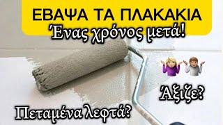 ΈΒΑΨΑ ΤΑ ΠΛΑΚΑΚΙΑ ΣΤΟ ΜΠΑΝΙΟ - ΕΝΑΣ ΧΡΟΝΟΣ ΜΕΤΑ | Christina Kosta