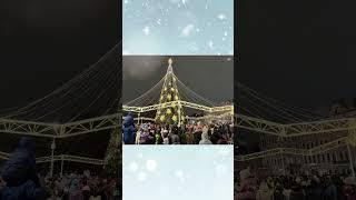 Как вы думаете, какая ёлка может быть самой изящной в России?
