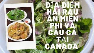  [Vlog 85] ĐỊA ĐIỂM HÁI RAU và CÂU CÁ NƯỚC NGỌT TRONG CÔNG VIÊN ĂN MIỄN PHÍ TẠI CANADA