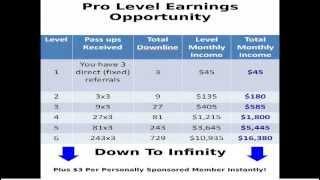 AIOP All In One Profits  - Pay plan review - Pro level only by Andrew Straton - AIOP TEAMBUILD