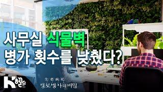 구글 노르웨이가 세운 사무실 식물벽_병가 횟수를 낮추다? - 739회(20.07.15) _ 팬데믹의 시대, 당신에게 녹색을 처방합니다