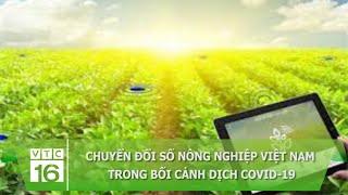 Chuyển đổi số nông nghiệp Việt Nam trong bối cảnh dịch Covid-19 | VTC16