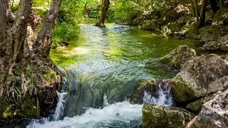 Mountain Stream 10 Hours. Relaxing Nature sounds For Sleep, Relaxation and Meditation.