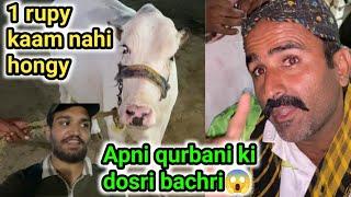 Brownie ke beopari se apni qurbani ke janwar ki bargaining